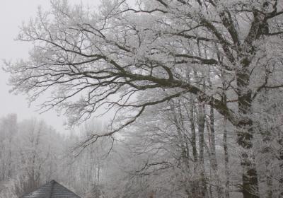 Wetterhütte