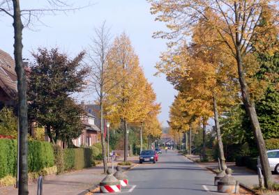 Zur Windmühle